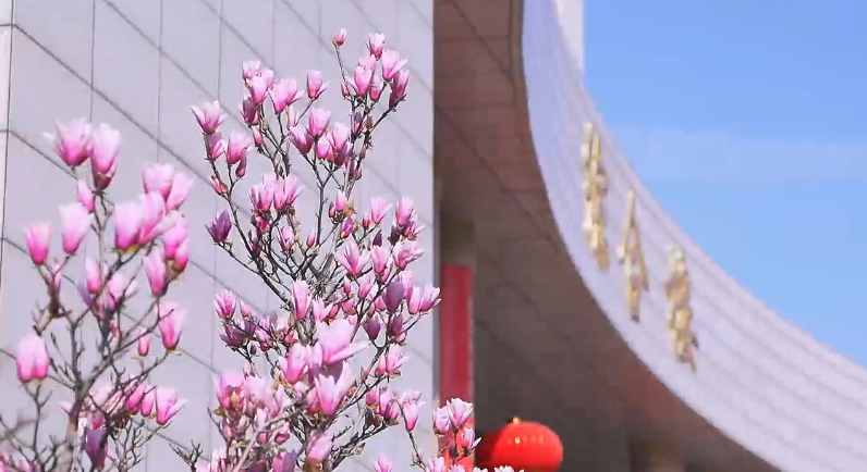 春日安城