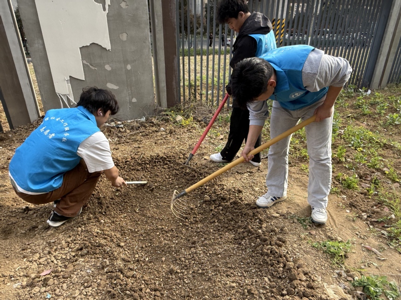 党建引领耕沃土 劳动实践强担当...